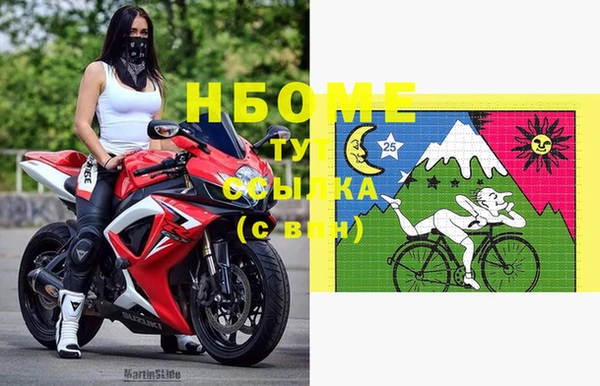 сатива Вяземский