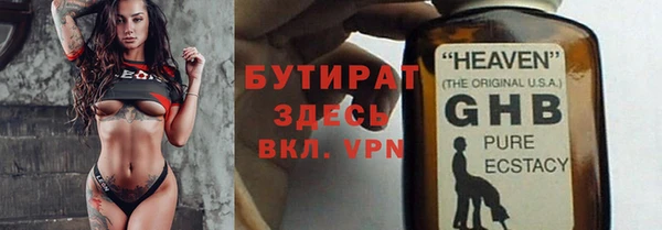 сатива Вяземский