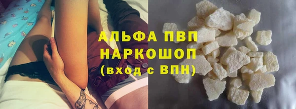 сатива Вяземский