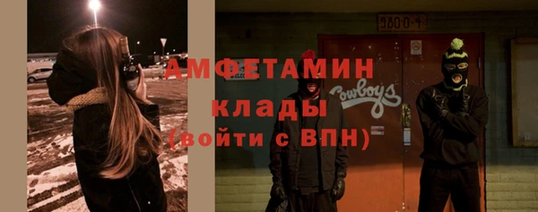 сатива Вяземский