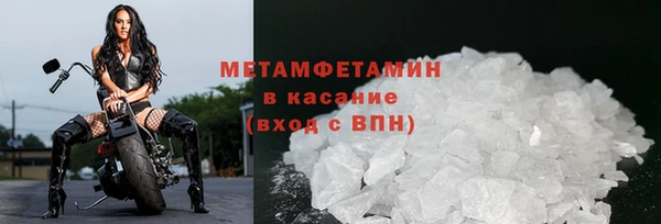 сатива Вяземский