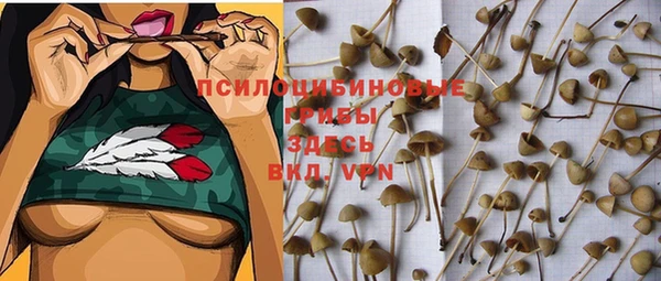 таблы Вязьма