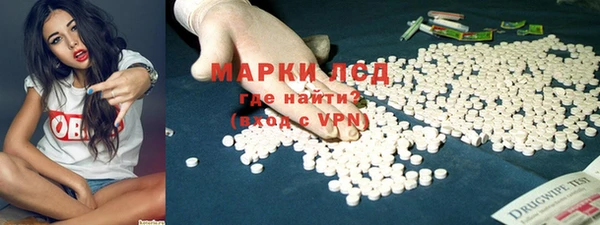 сатива Вяземский