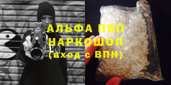 сатива Вяземский