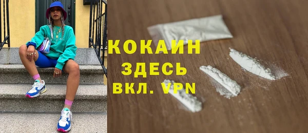 сатива Вяземский