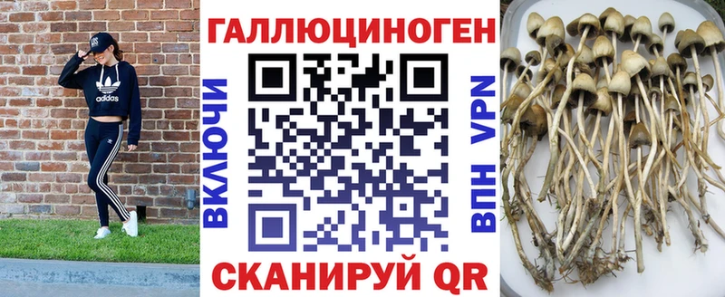 сколько стоит  Кострома  Галлюциногенные грибы мухоморы 